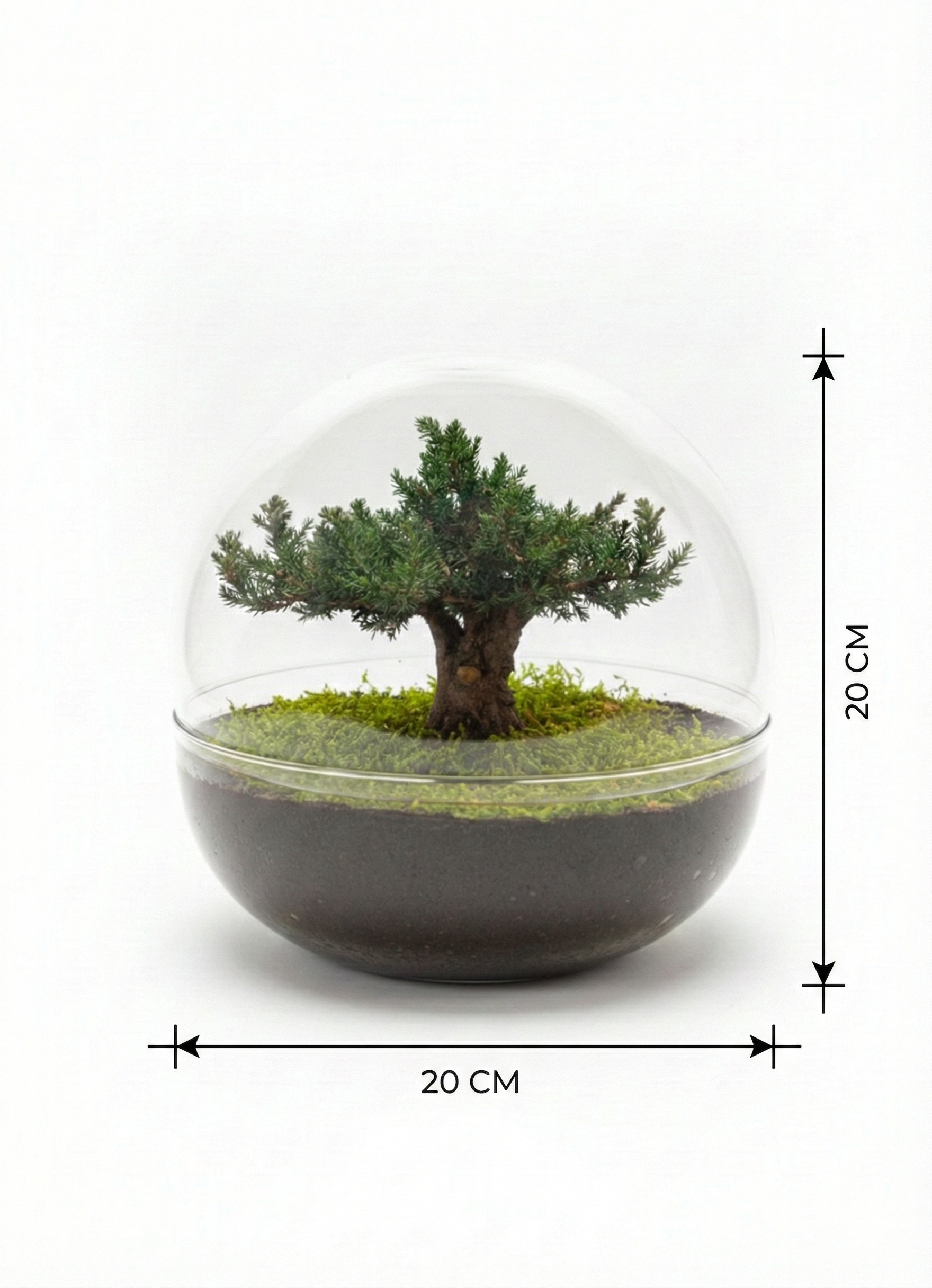 Urna Bonsái Eterno · 20 cm Ø · 1,2 L · hecha a mano en España.