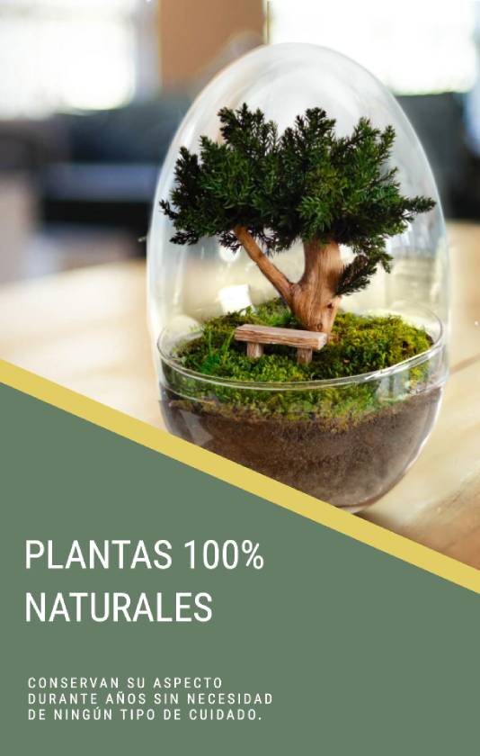 Urna buena para proveedores
