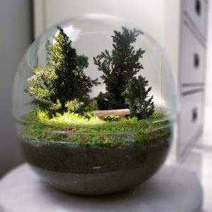 (urna) bosque preservado