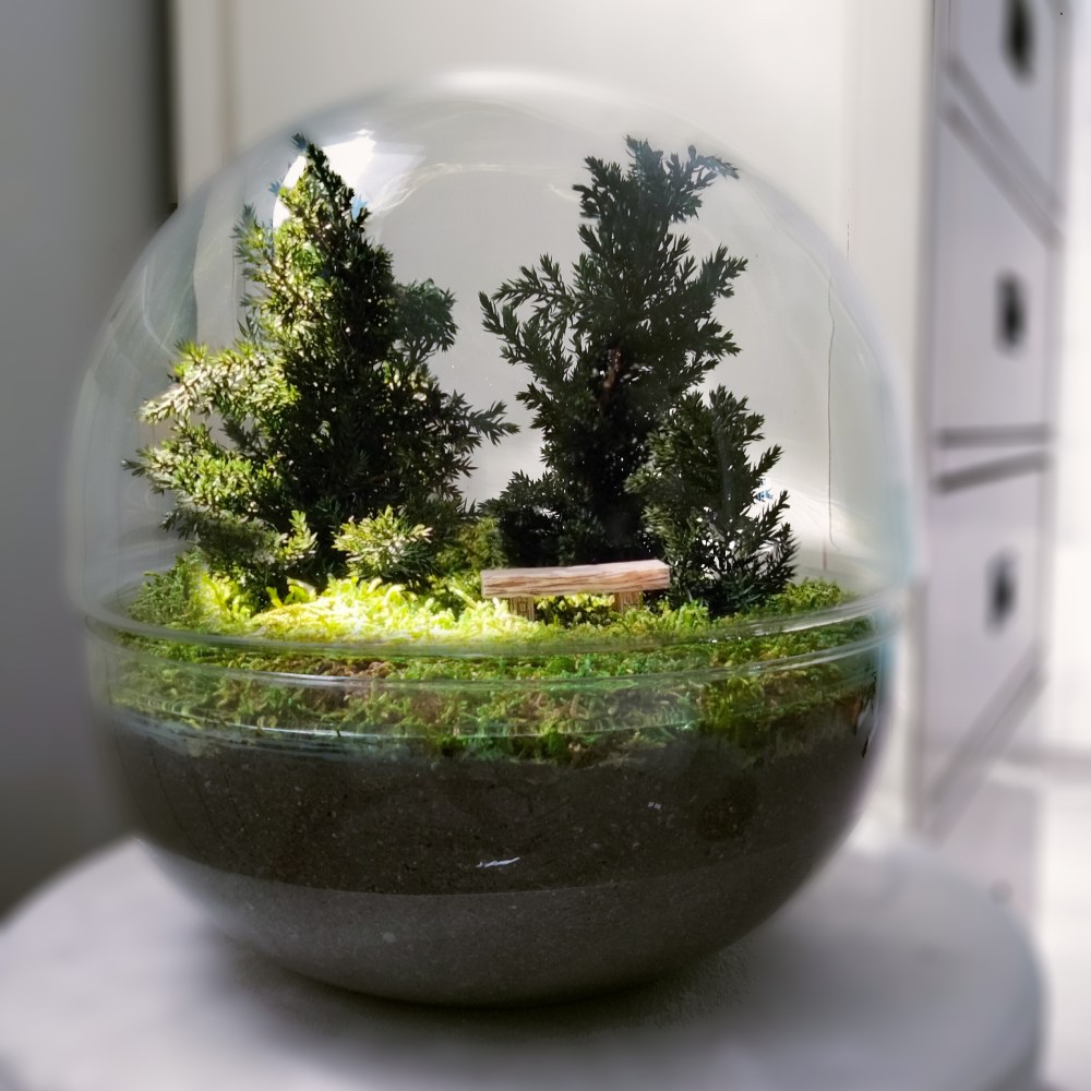 (urna) bosque preservado