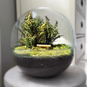 Urna funeraria- terrario de jardín preservado