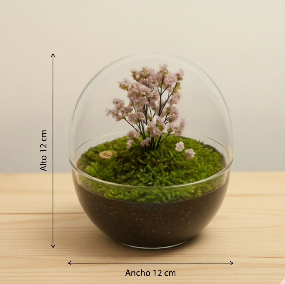 ECO FLORAL - Imagen 5