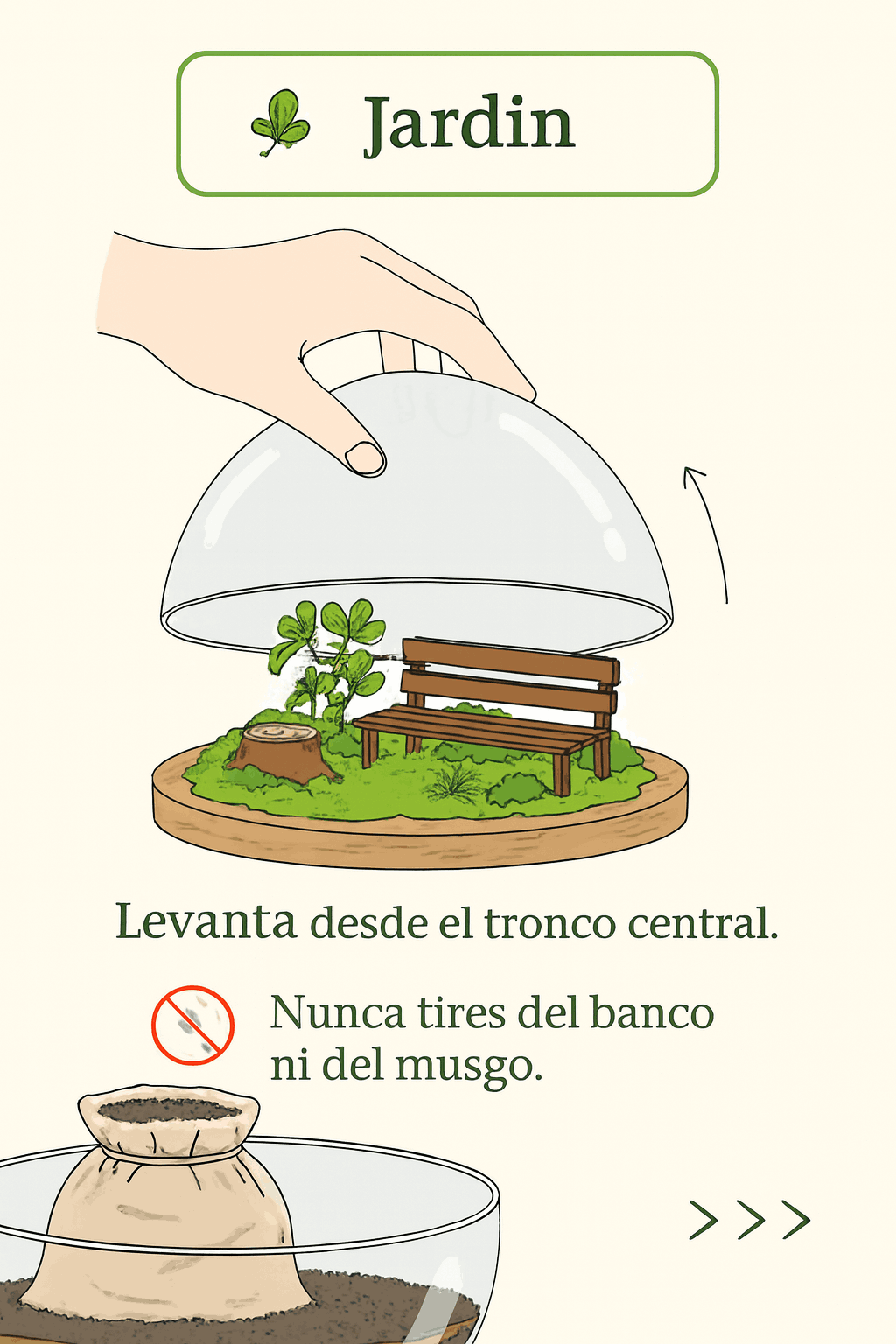 Instrucciones introducción de cenizas