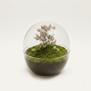 urna funerario terrario eco floral blanca
