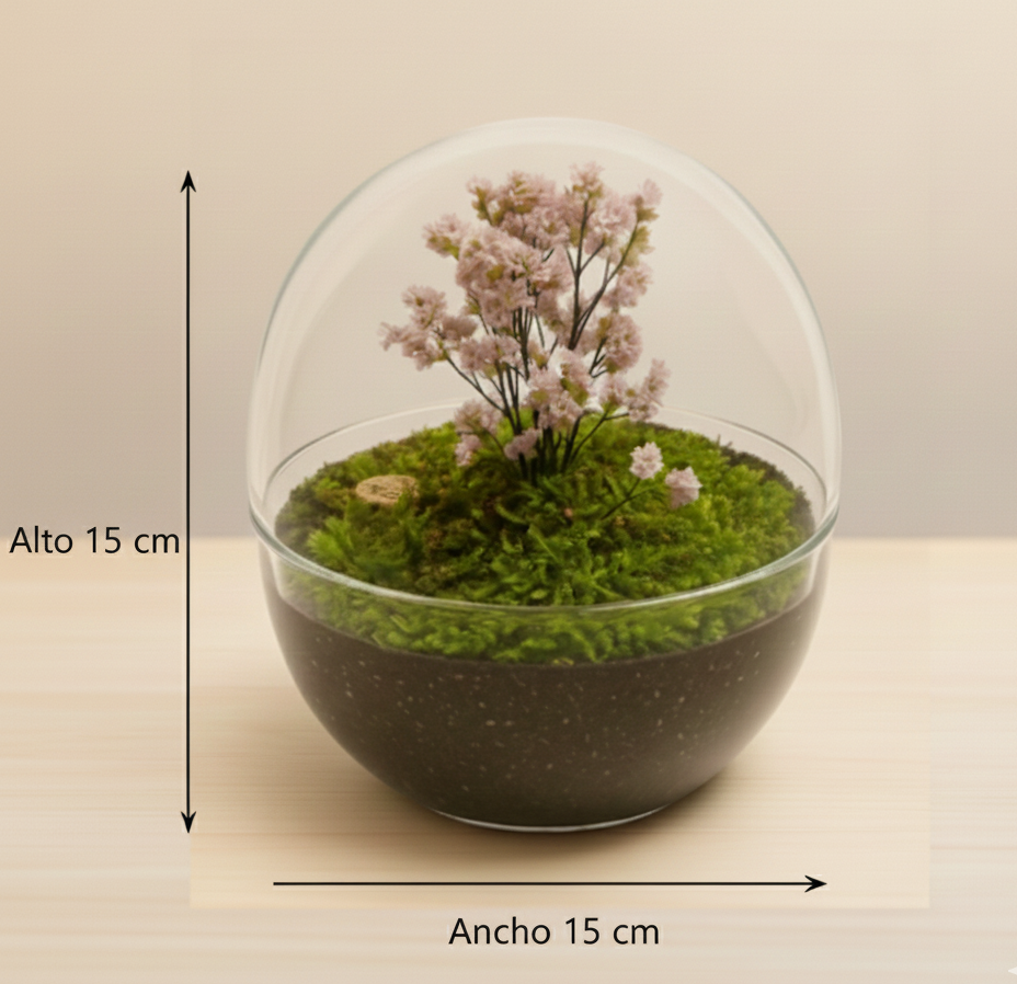 Terrario de cristal con forma de esfera y base plana, conteniendo musgo verde vibrante y una pequeña planta de flores rosadas, con flechas indicando sus dimensiones de 15 cm de alto y 15 cm de ancho. El fondo es un suave tono beige cálido estilo nórdico, con una superficie de madera clara.