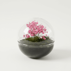FLOR ETERNA