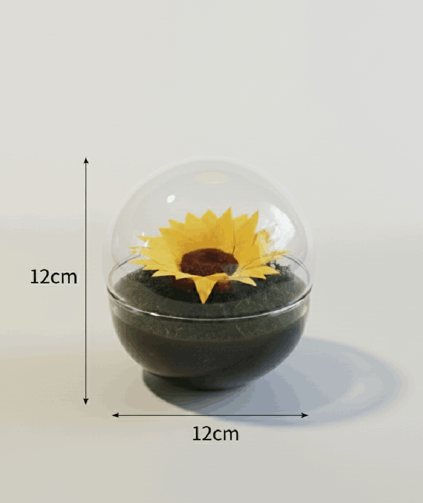 URNA VIVARIUM GIRASOL 12X12