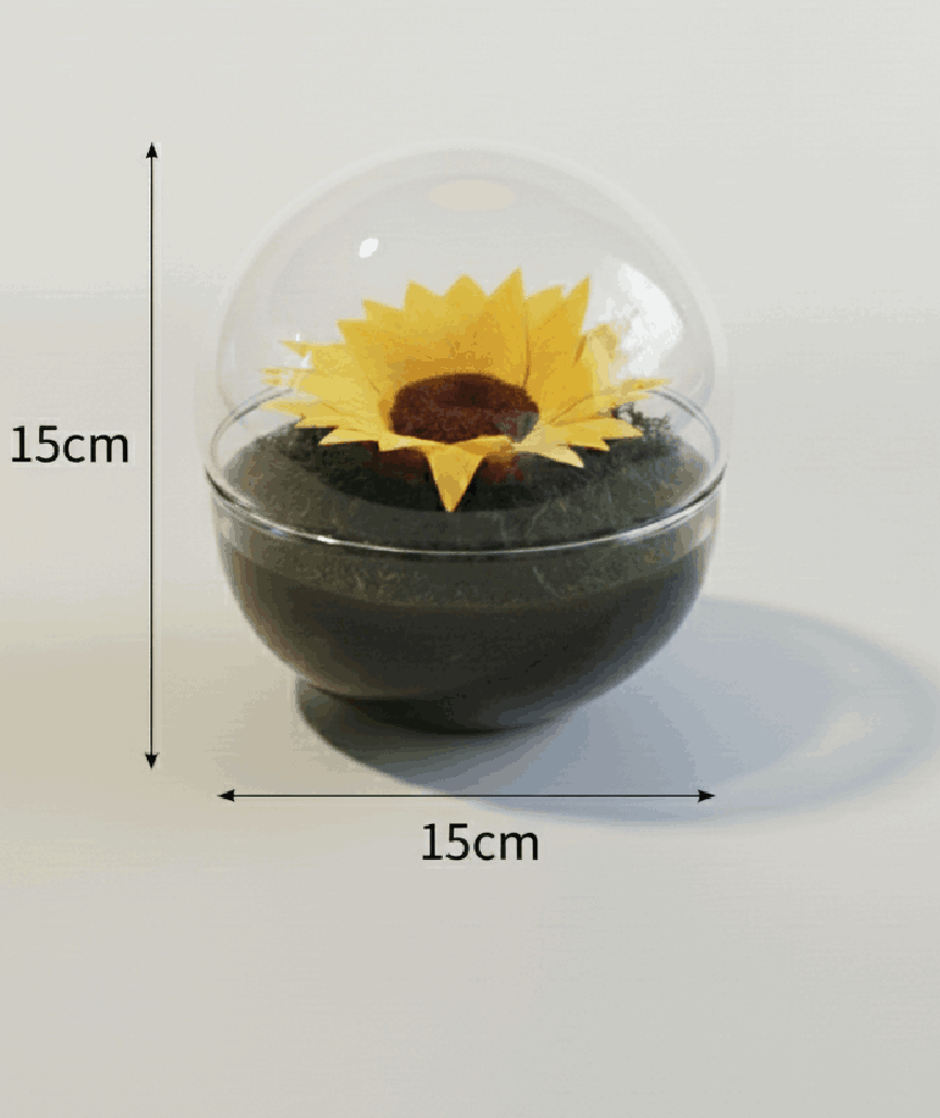 GIRASOL EN SU INTERIOR 15X15