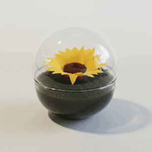 URNA GIRASOL