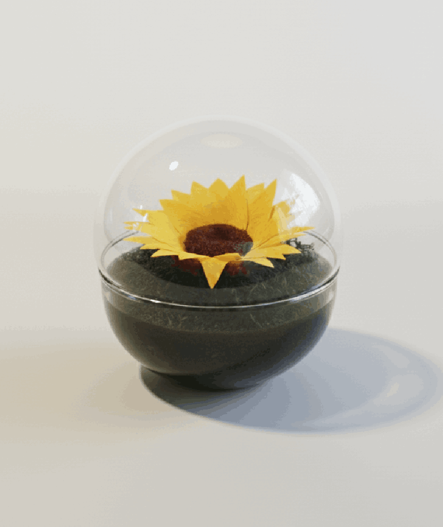URNA GIRASOL